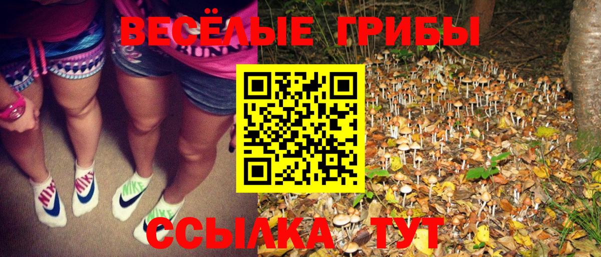 Ливны  Галлюциногенные грибы MAGIC MUSHROOMS  Псилоцибиновые грибы ЛСД  Вход с VPN 